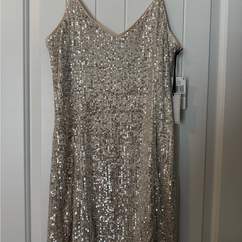 Elegant Champagne Sequin Dress
